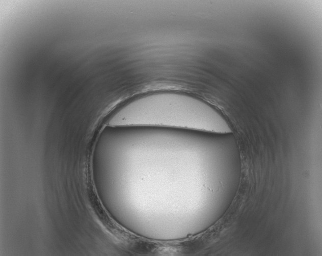 X0000062640352200512231047