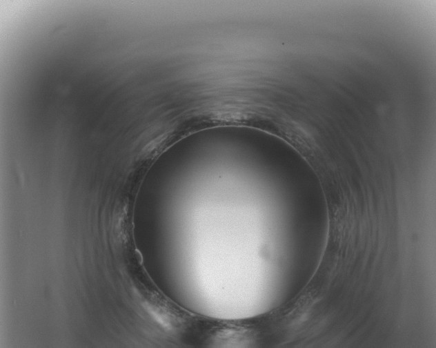 X0000062640364200512231047