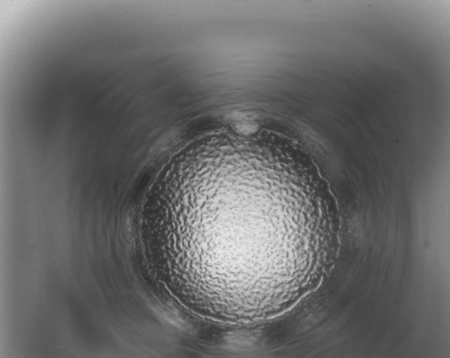 X0000062640373200512231047