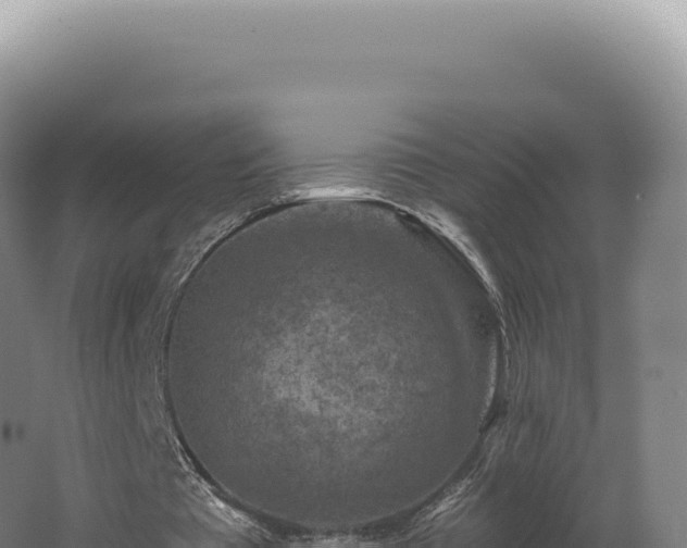 X0000062640385200512231046