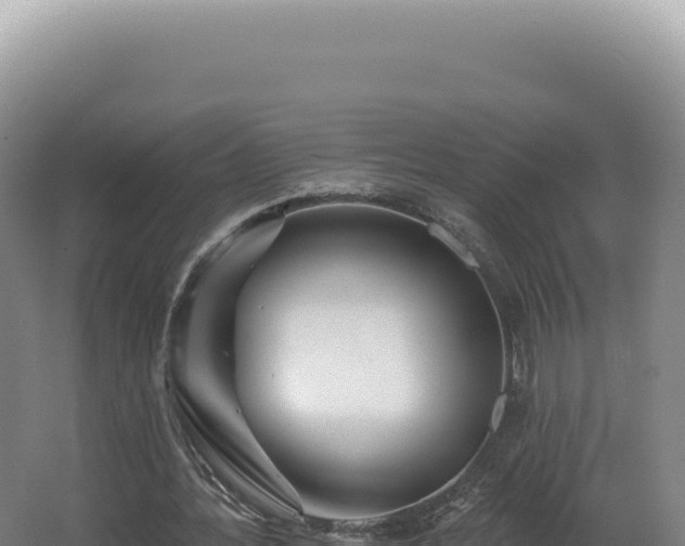 X0000062640388200512231046