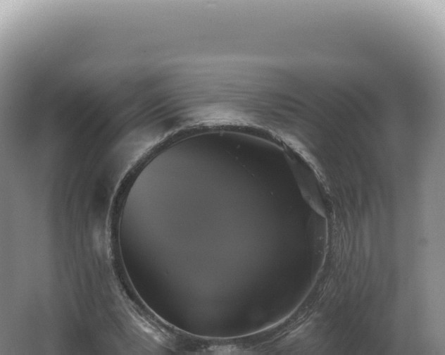 X0000062640391200512231046