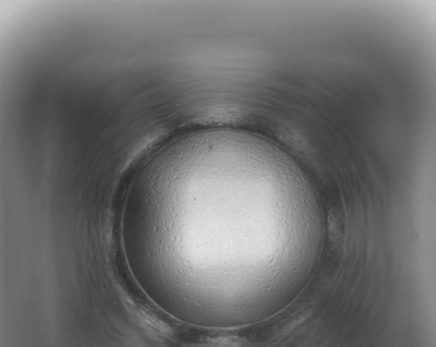 X0000062640396200512231046