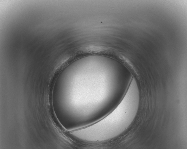 X0000062640399200512231046