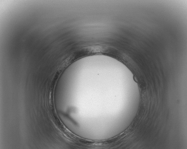X0000062640406200512231046