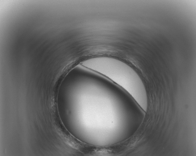 X0000062640407200512231046