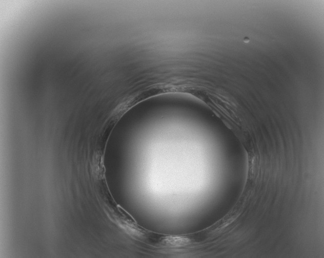 X0000062640429200512231046
