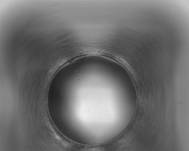 X0000062640433200512231045