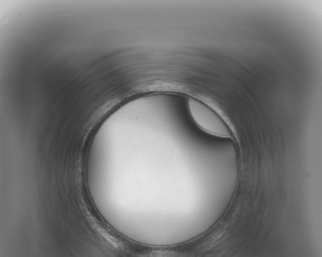 X0000062640437200512231045
