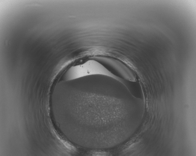 X0000062640438200512231045