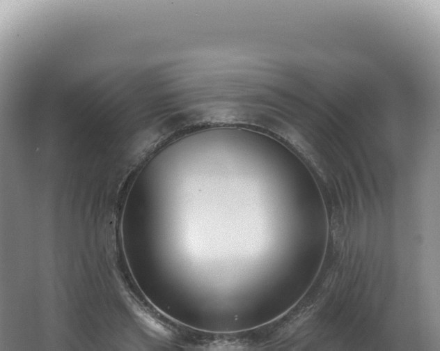 X0000062640445200512231045