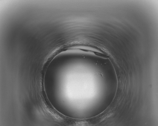 X0000062640446200512231045