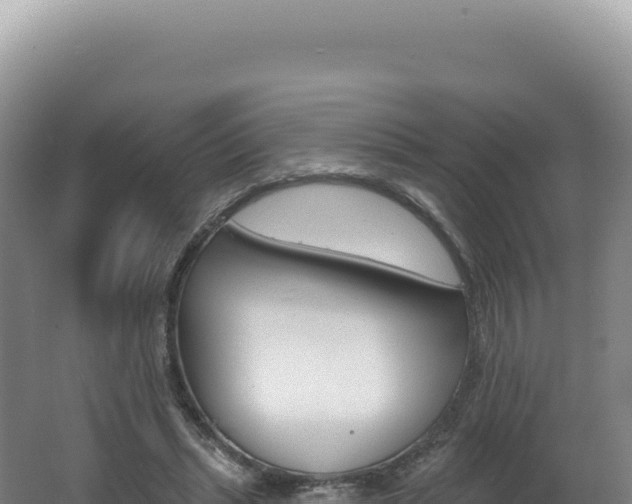 X0000062640447200512231045