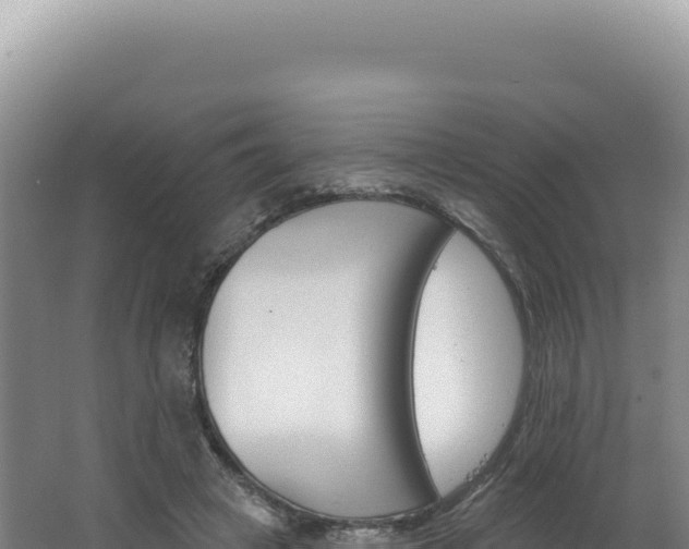 X0000062640449200512231045