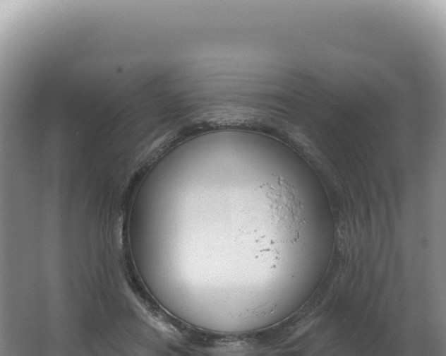 X0000062640454200512231045