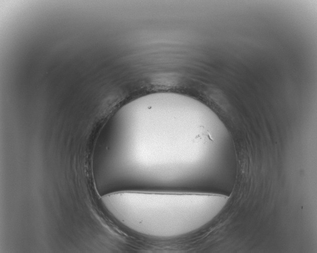 X0000062640455200512231045