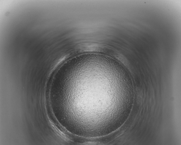 X0000062640482200512231045