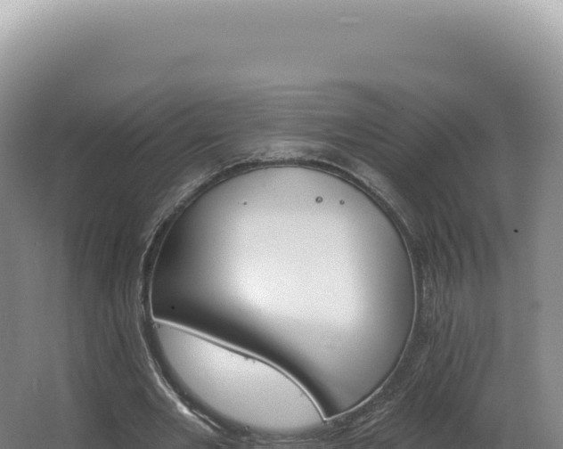 X0000062640485200512231045