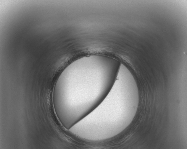X0000062640495200512231044