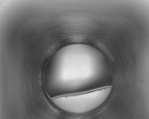 X0000062640497200512231044