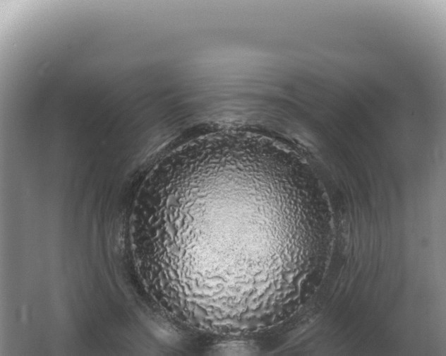 X0000062640499200512231044