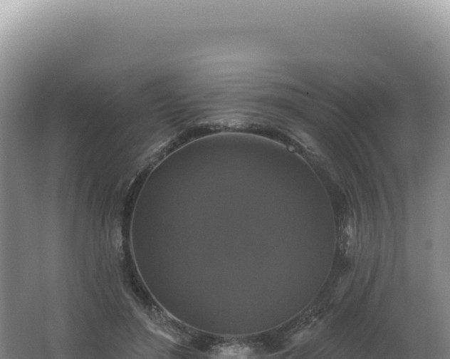 X0000062640500200512231044