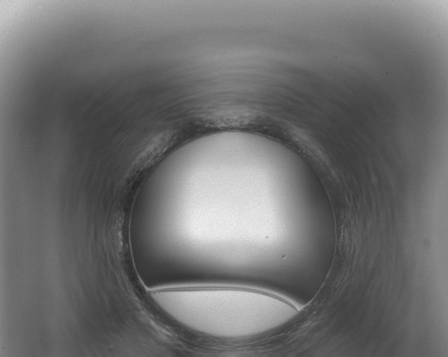X0000062640501200512231044