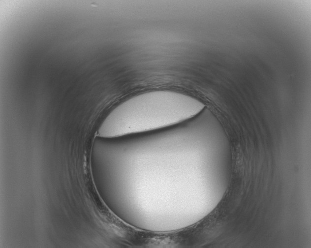 X0000062640502200512231044