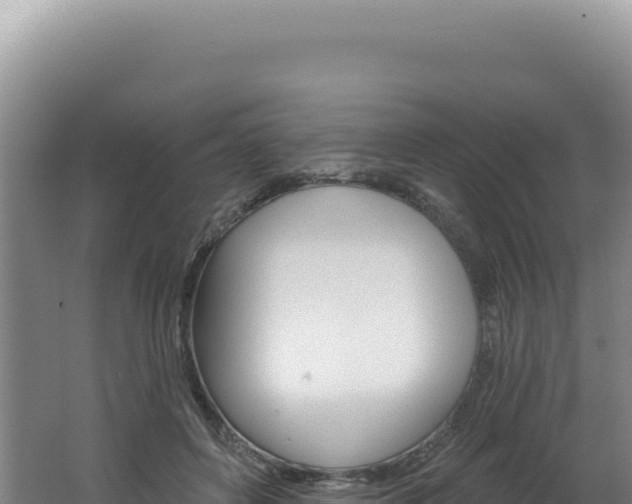 X0000062640504200512231044