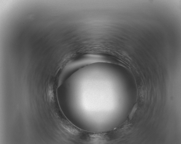 X0000062640516200512231044
