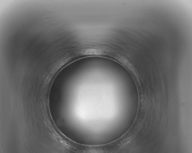 X0000062640529200512231043