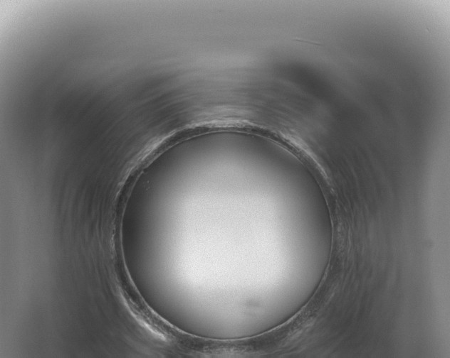 X0000062640533200512231043