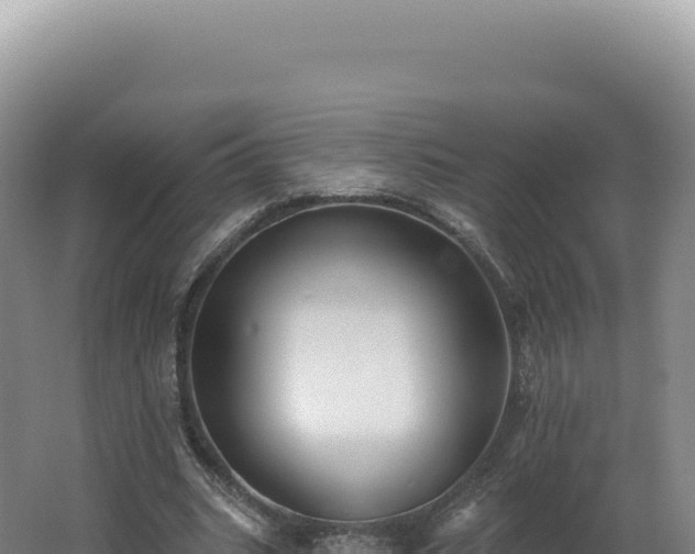 X0000062640535200512231043