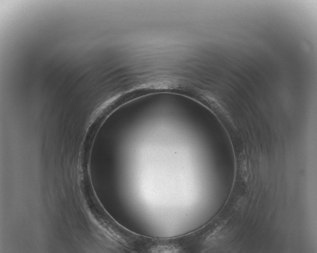 X0000062640536200512231043