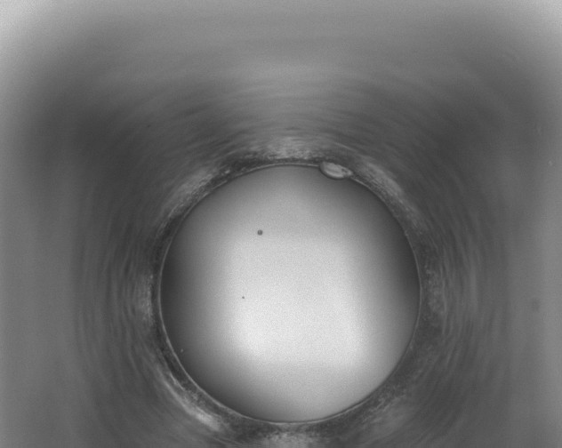 X0000062640537200512231043