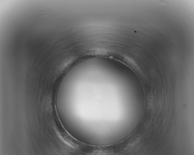 X0000062640538200512231043