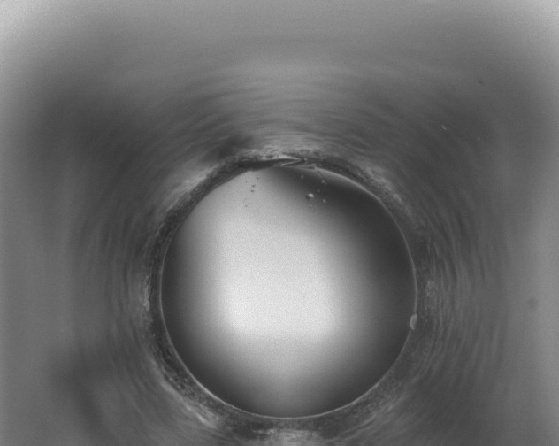 X0000062640539200512231043