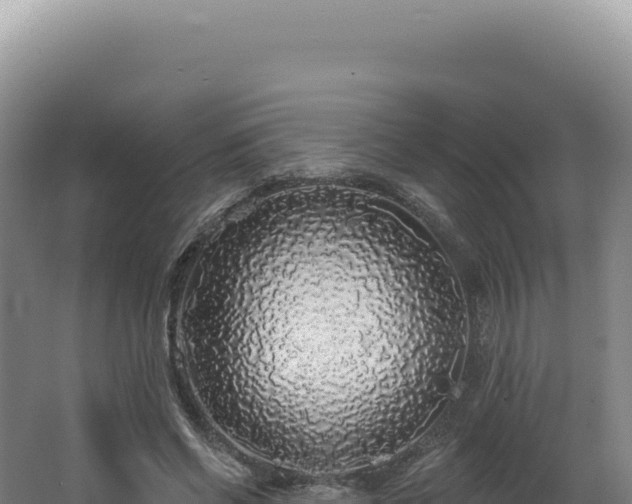 X0000062640542200512231043