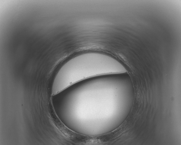 X0000062640543200512231043