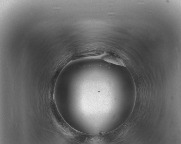 X0000062640546200512231043