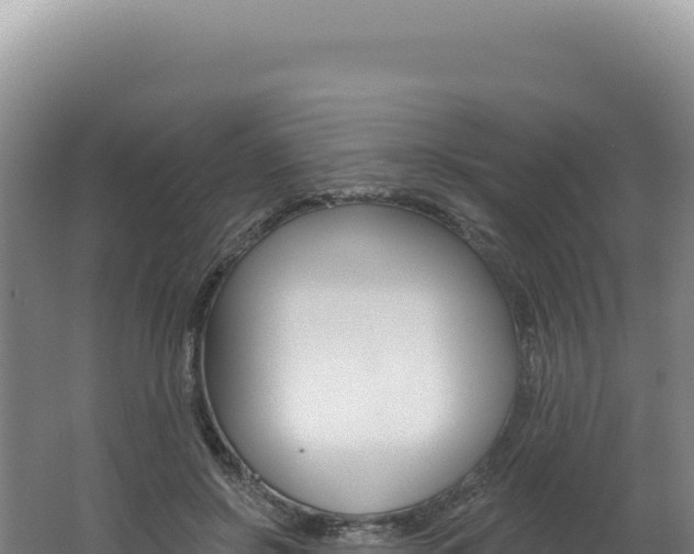 X0000062640550200512231043