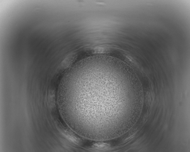 X0000062640557200512231044