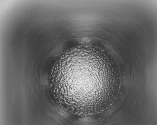 X0000062640561200512231044