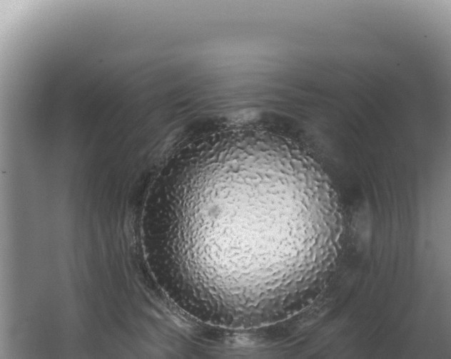 X0000062640565200512231044