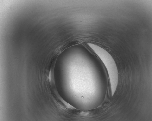 X0000062640570200512231044