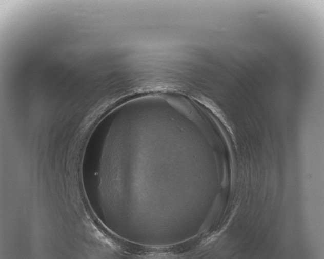 X0000062640577200512231043