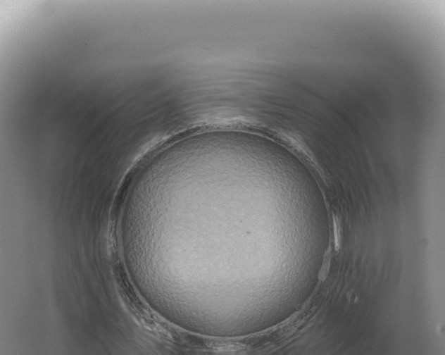 X0000062640579200512231043