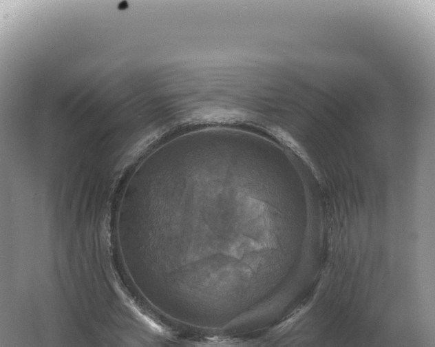 X0000062640581200512231043