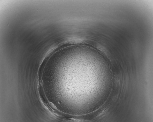 X0000062640582200512231043