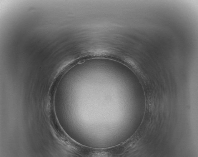 X0000062640583200512231043